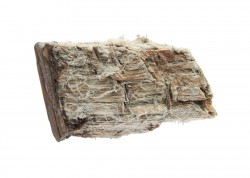 Asbestos Fibers