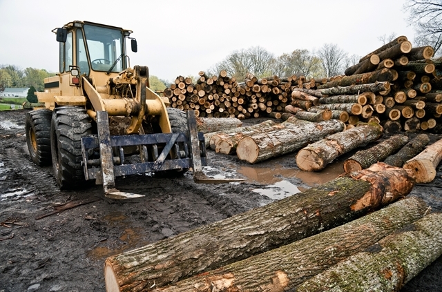 Frequent Rough Terrain Forklift Accidents