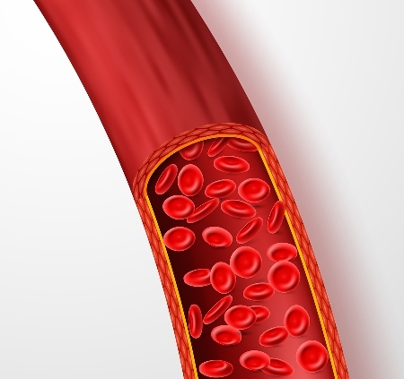 Bloodborne Pathogens